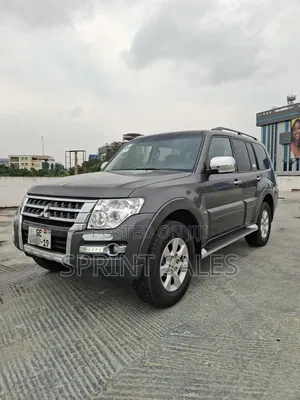 Mitsubishi Pajero 2019 Gray