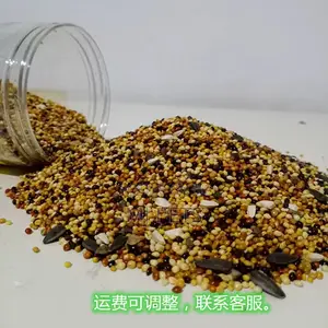 Comprehensive Parrot Food Seeds