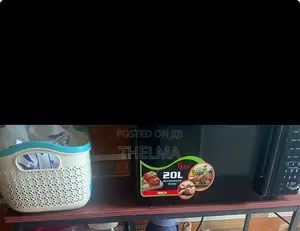 20L Microwave