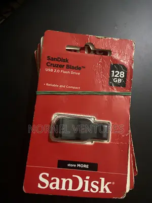 SanDisk Flash Drive
