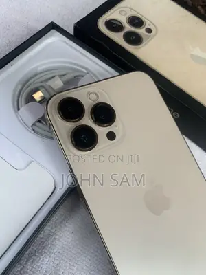 Apple iPhone 13 Pro Max 256 GB Gold
