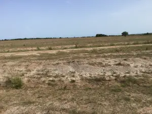 Land Offer = Prampram Airport City Landss !