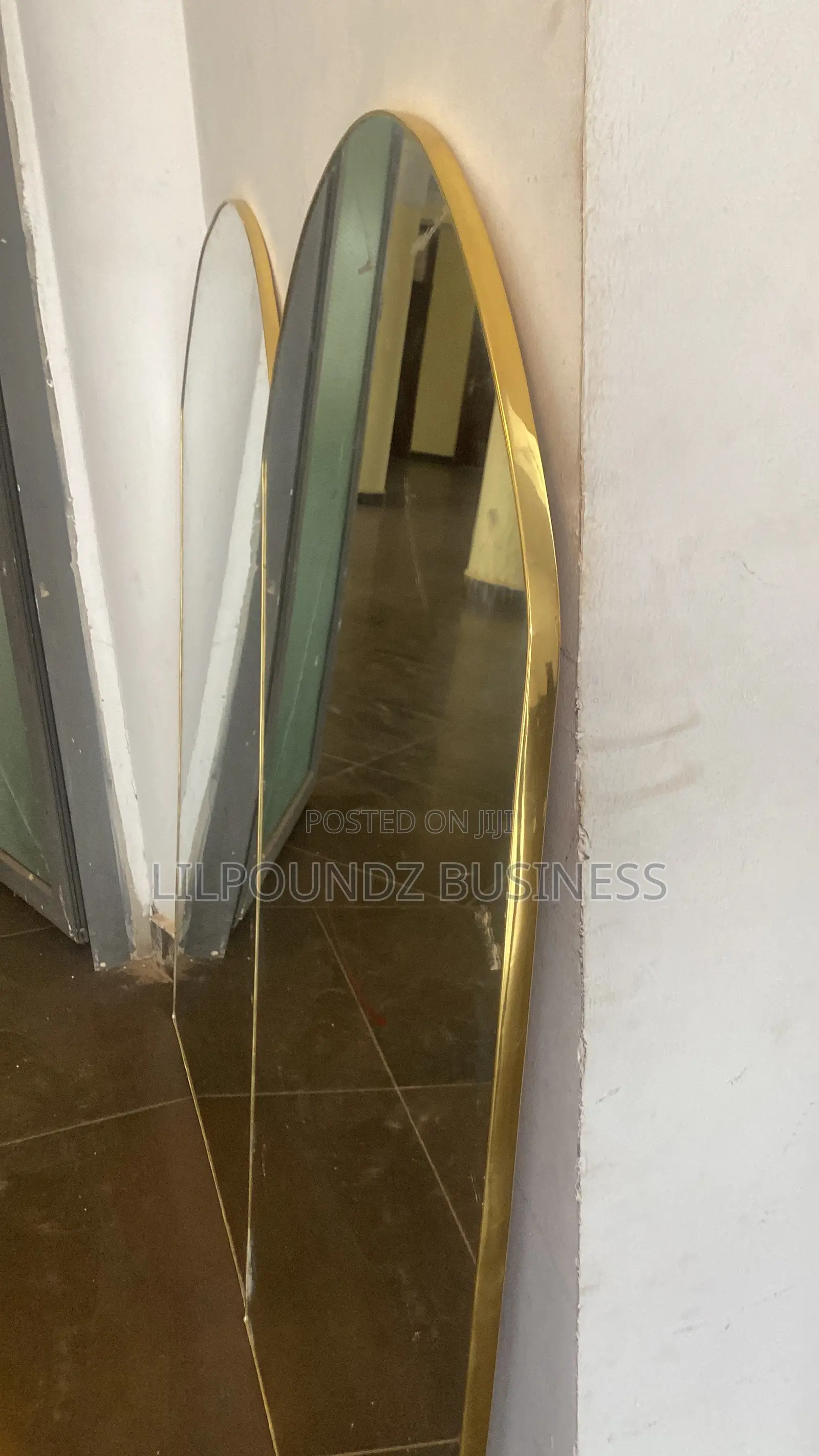 A Pair of Salon Mirror