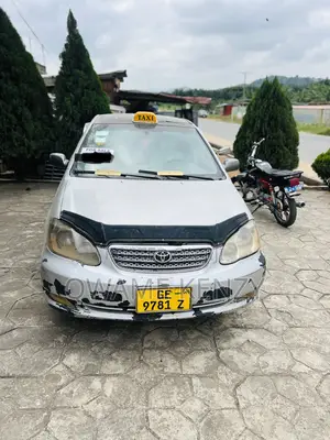 Toyota Corolla 2003 Gray