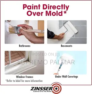 Zinsser Mold Killing Primer Paint, 3.78 Litres