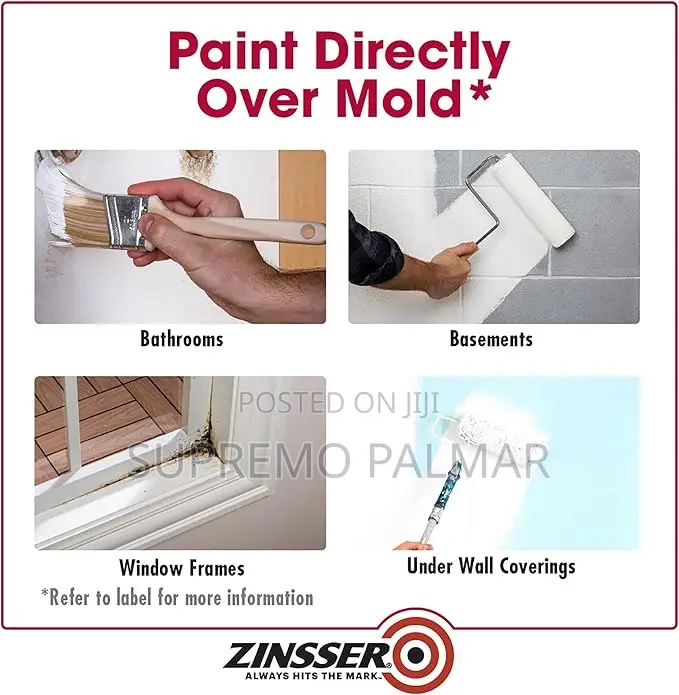 Zinsser Mold Killing Primer Paint, 3.78 Litres