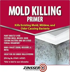 Zinsser Mold Killing Primer Paint, 3.78 Litres