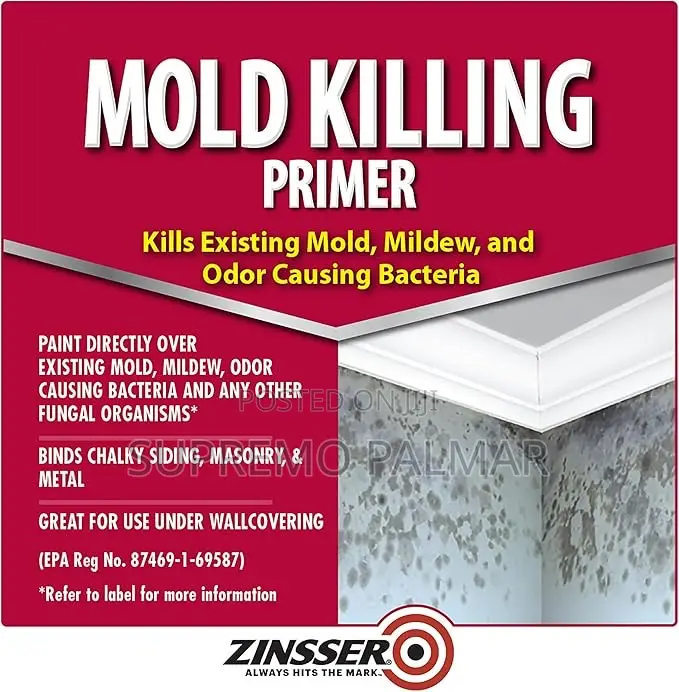 Zinsser Mold Killing Primer Paint, 3.78 Litres