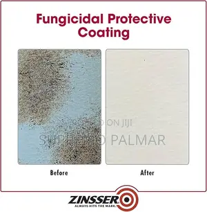 Zinsser Mold Killing Primer Paint, 3.78 Litres