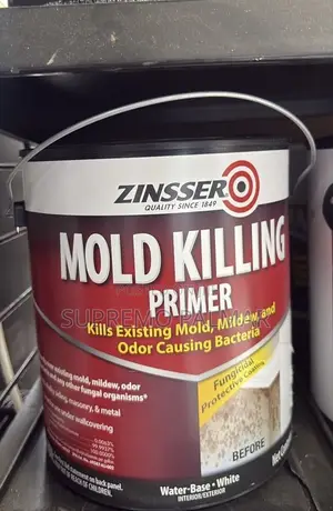 Zinsser Mold Killing Primer Paint, 3.78 Litres