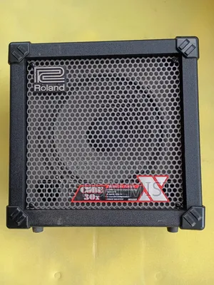 Roland Cube 30x