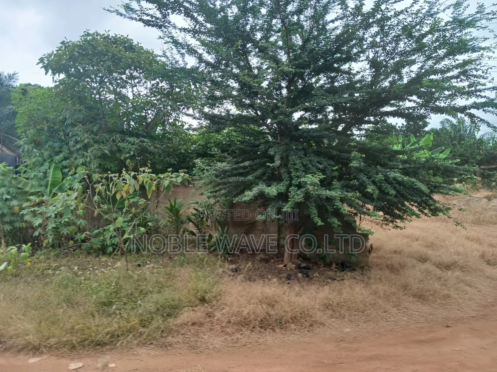 2plots of Land for Sale at Ahodwo Daban
