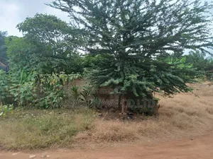 2plots of Land for Sale at Ahodwo Daban