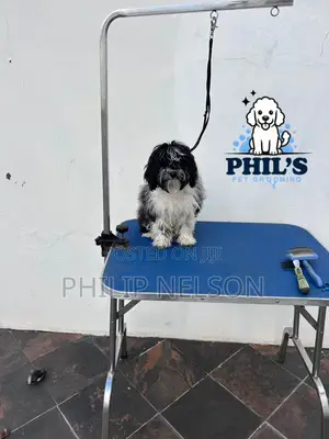 Dog Grooming Services