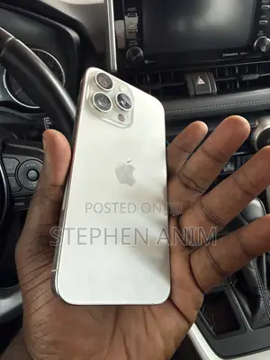 Apple iPhone 15 Pro Max 256 GB Silver