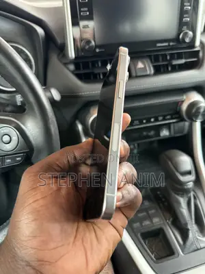 Apple iPhone 15 Pro Max 256 GB Silver