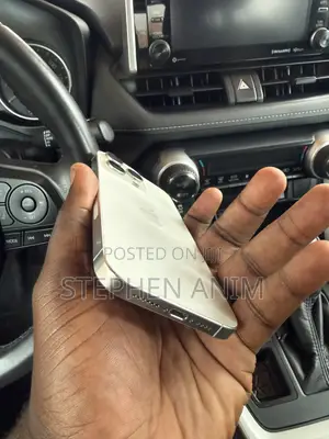 Apple iPhone 15 Pro Max 256 GB Silver