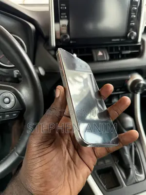Apple iPhone 15 Pro Max 256 GB Silver