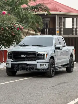 Ford F-150 2025 Gray