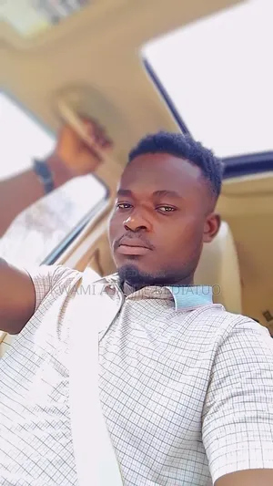 Professional Vip Chauffeur Looking for Job