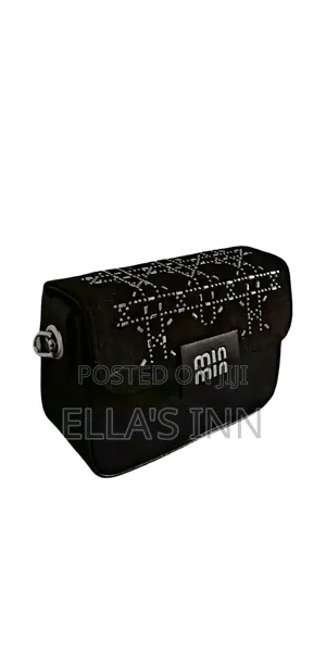 Affordable and Fashionable Ladies Bag