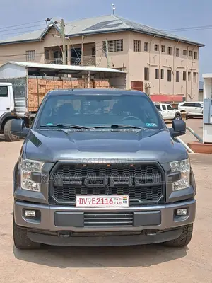 Ford F-150 2017 Gray