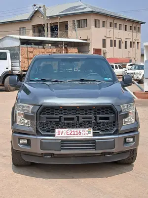Ford F-150 2017 Gray