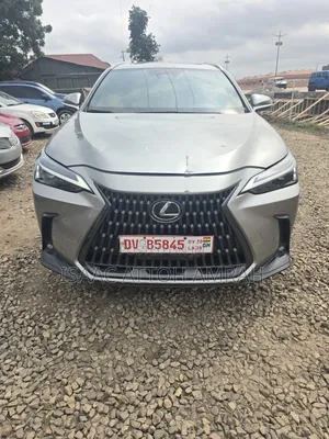 Lexus NX 2025 Gray