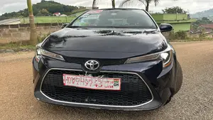 Toyota Corolla LE 2021 Blue