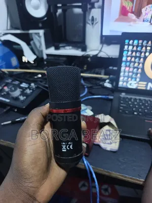 Focusrite Scarlett Main Microphone