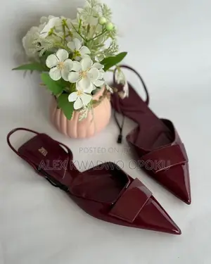 Zara Slingback Flats