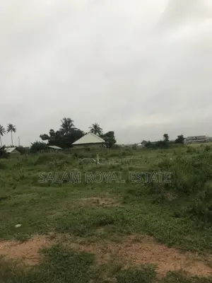 One Plot of Land at Amasaman Denchira