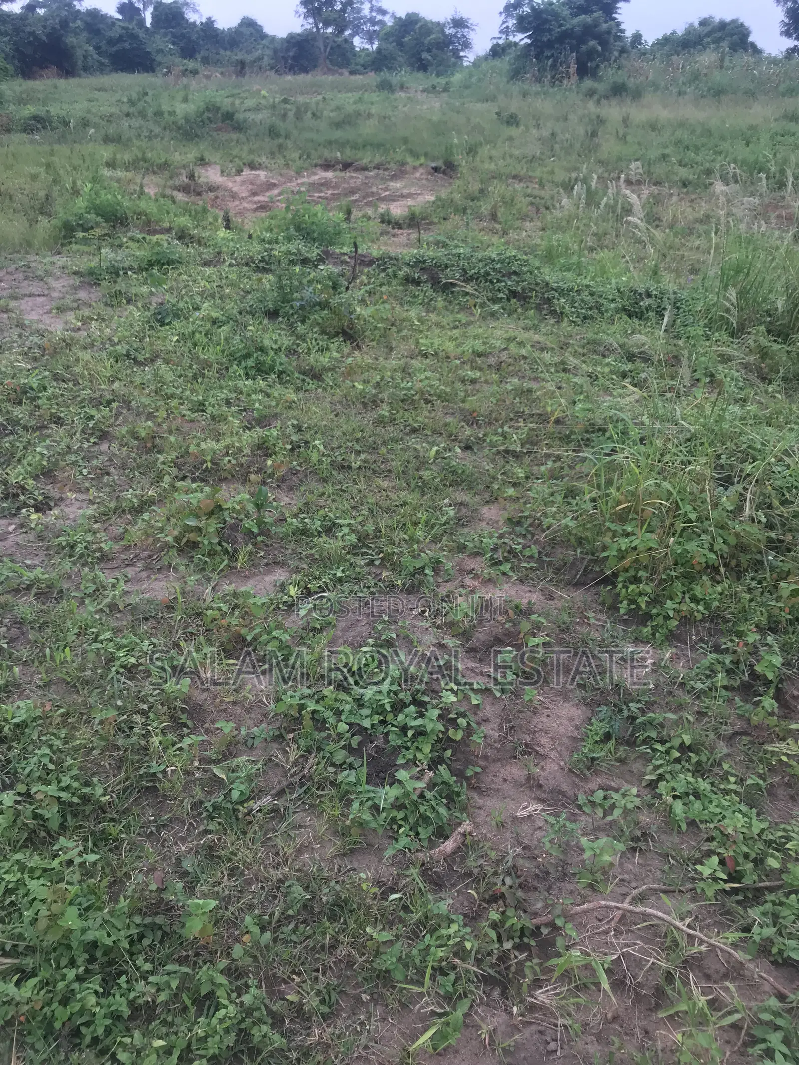 Half Plot of Land at Amasaman Denchira