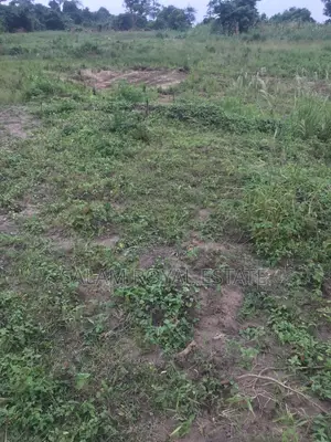Half Plot of Land at Amasaman Denchira