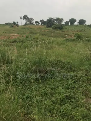 Half Plot of Land at Amasaman Denchira