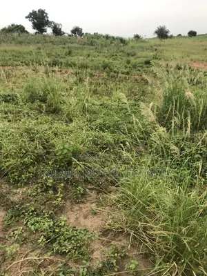 Half Plot of Land at Amasaman Denchira