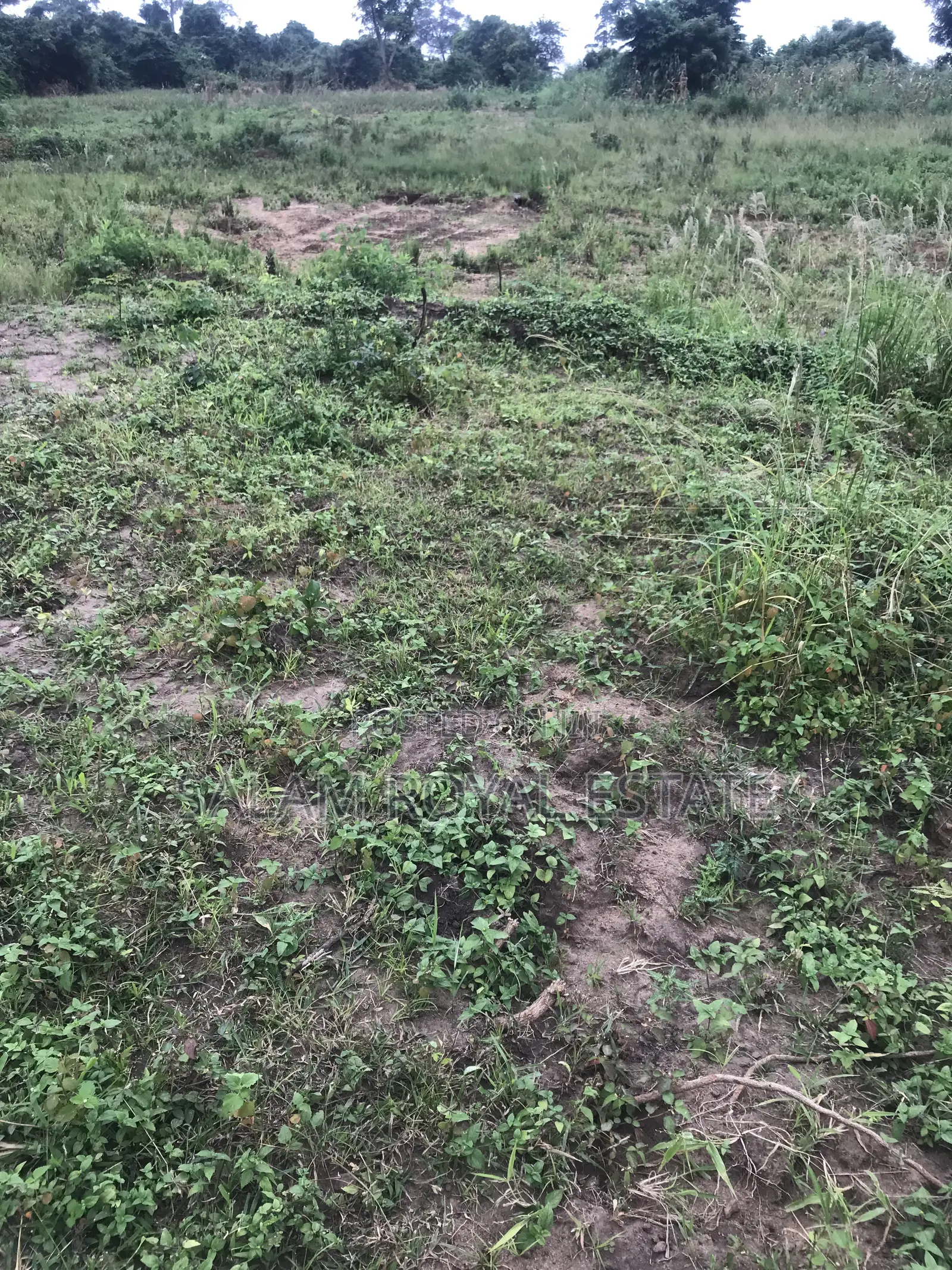 Half Plot of Land at Amasaman Denchira