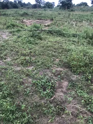 Half Plot of Land at Amasaman Denchira