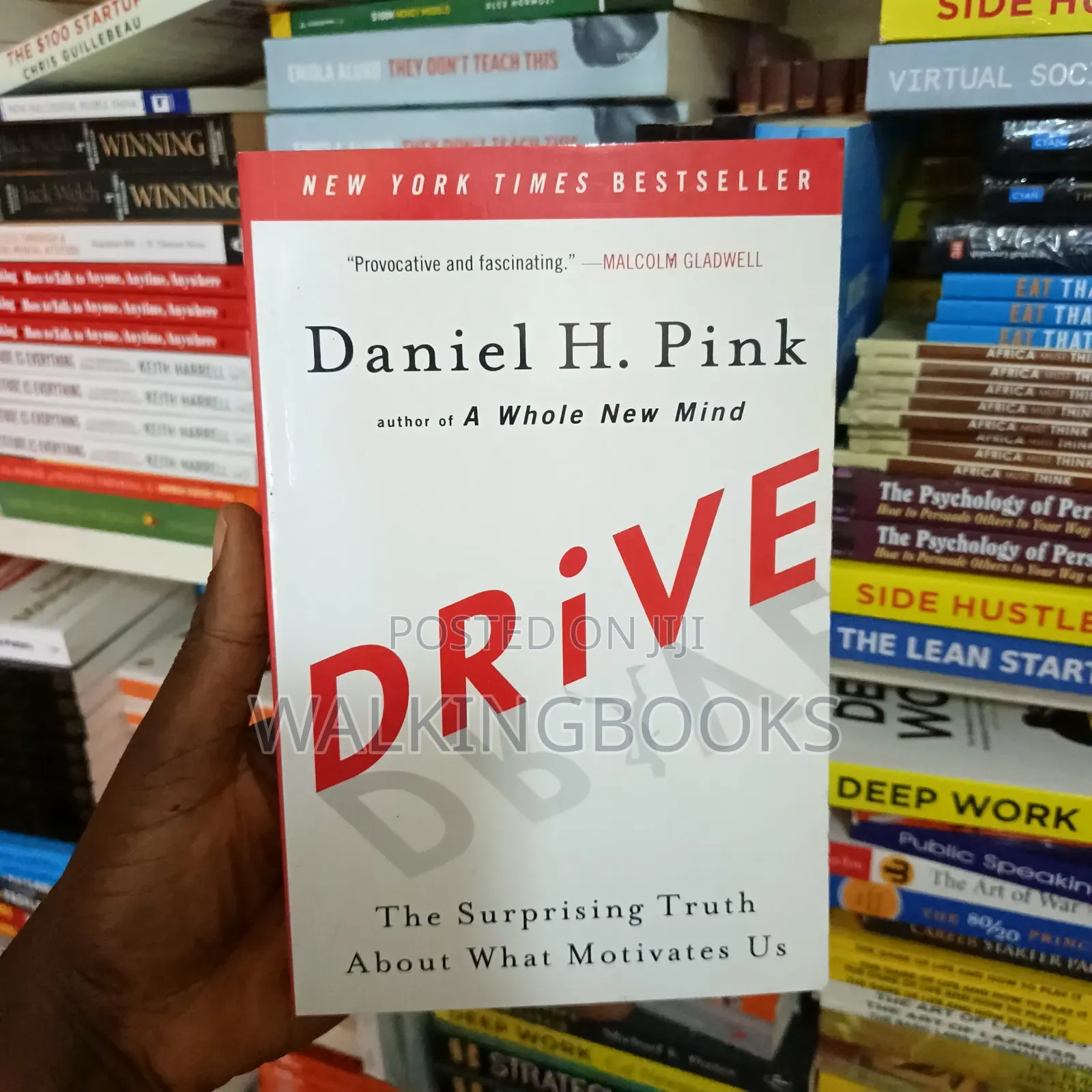 Drive: The Surprising Truth About What Motivates Us