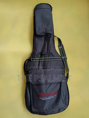 Spear Padded Lead Guitar Bags