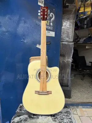 Fender Semi Acoustic Guitar