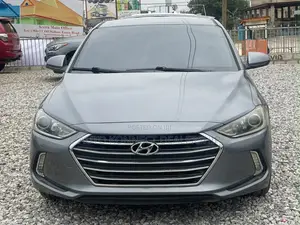 Hyundai Elantra 2017 Gray