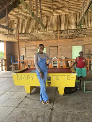 Hotel Housekeeper for Hire at Airport