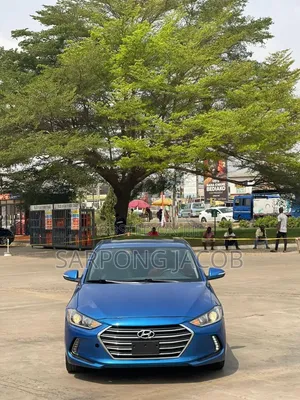 Hyundai Elantra 2018 Blue