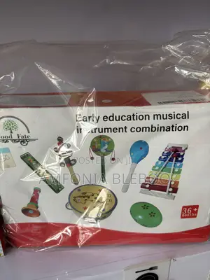 Musical Set for Kids