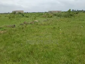 Flexible Land Ownership Plan
