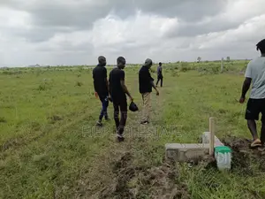 Your Chance to Own Land