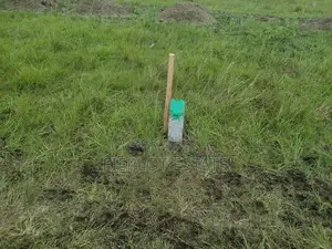 Your Chance to Own Land
