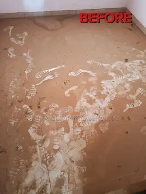 Move in Cleaning