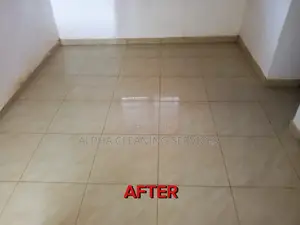 Move in Cleaning